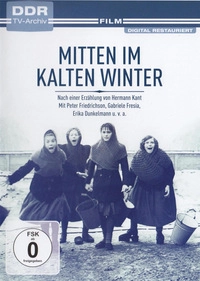 Mitten im kalten Winter (DVD)