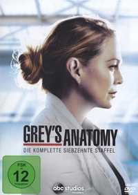 Grey's Anatomy - Staffel 17 - Disc 1 - Episoden 1 - 4 (DVD)