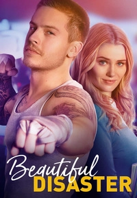 Beautiful Disaster (DVD)