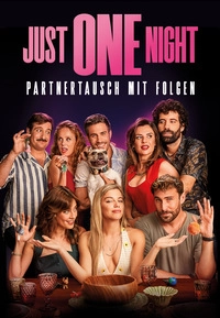 Just One Night - Partnertausch mit Folgen (DVD)