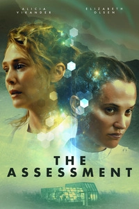 The Assessment (DVD)