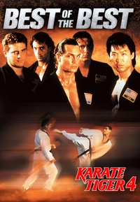 Karate Tiger 4 (DVD)