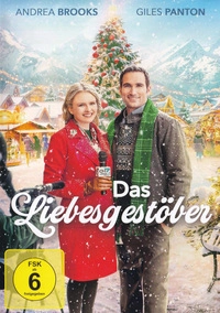 Wetterfee sucht Weihnachtswunder - Das Liebesgestöber (DVD)