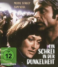 Ein Schrei in der Dunkelheit - Ein authentischer Fall (Blu-ray)