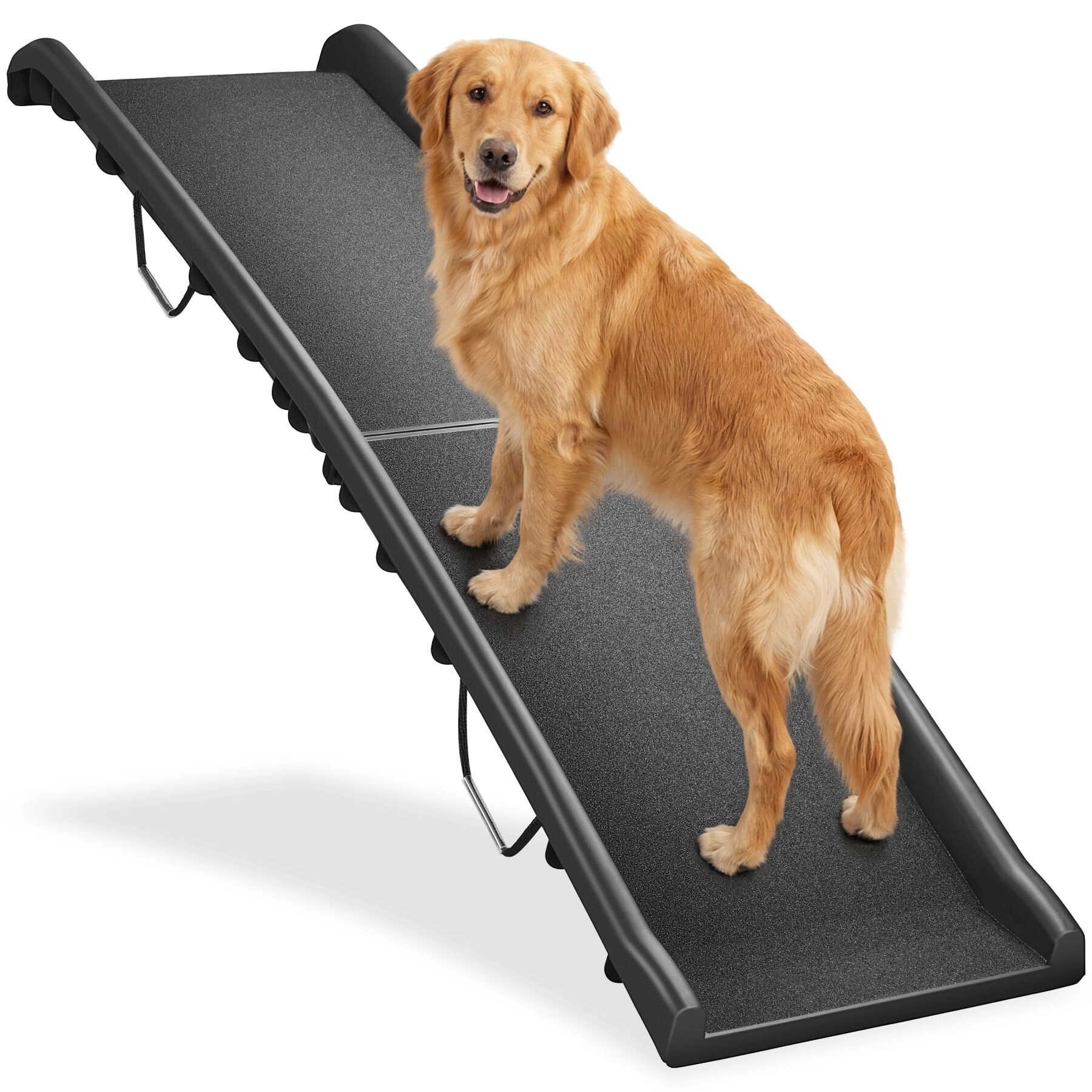 Hunderampe Paw Step Auto, klappbar und rutschfest, bis 90kg - schwarz
