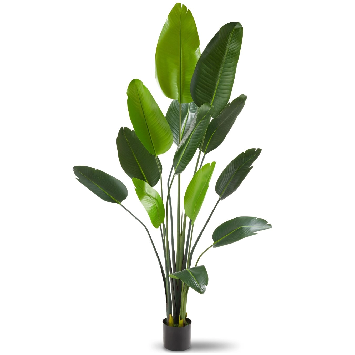 Künstlicher Paradiesvogelbaum Tropic, naturgetreu - 180 cm