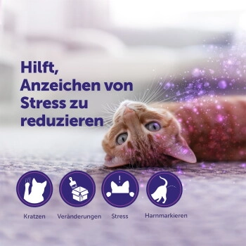 Feliway Classic Start-Set 48ml zur Beruhigung