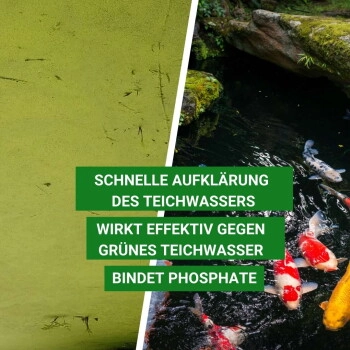 Aqua-Cereal Grünwasser-EX 1 Liter für 20.000 Liter