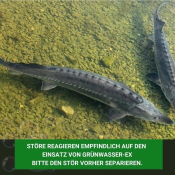 Aqua-Cereal Grünwasser-EX 1 Liter für 20.000 Liter