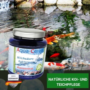 Aqua-Cereal Milchsäurebakterien Konzentrat