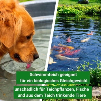 Aqua-Cereal Milchsäurebakterien Konzentrat