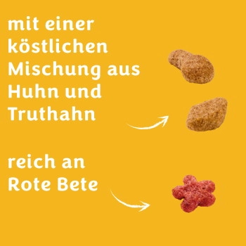 Felix Doppelt Lecker Trockenfutter Katze Huhn und Truthahn, reich an Rote Bete 2 kg