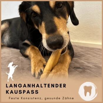 Supravit Yak Kaukäse - für Hunde M