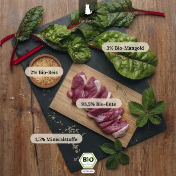 LIEBESGUT Katzenfutter Bio-Ente mit Bio-Mangold und Bio-Reis