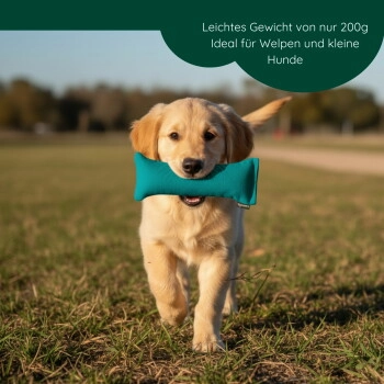 ROMNEYS Dummy Welpen 200g grün