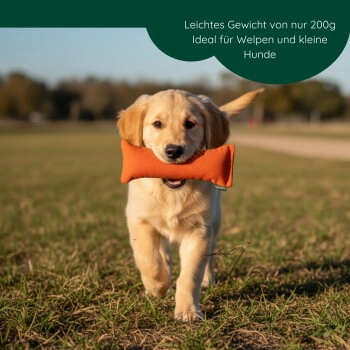 ROMNEYS Dummy Welpen 200g orange