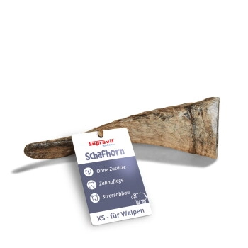 Supravit Kauhorn vom Schaf - Schafhorn XS