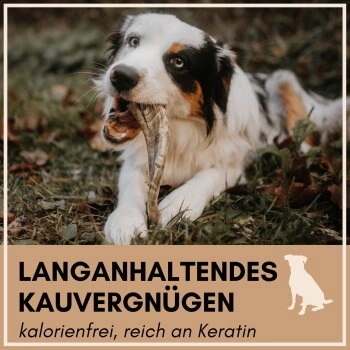 Supravit Kauhorn vom Schaf - Schafhorn XS