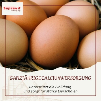 Supravit Kalkgrit für Hühner I Futterkalk Ergänzungsfutter für Hühner, Wachteln, Enten & anderes Legegeflügel I hoher Anteil an Calcium für Starke Eierschalen und eine gesunde Verdauung