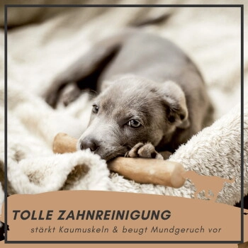 Supravit Kaffeeholz Kauspielzeug für Hunde XS