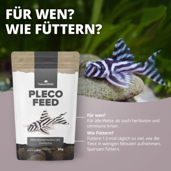 NatureHolic Welsfeed - Welsfutter - Welstabs - 30 g