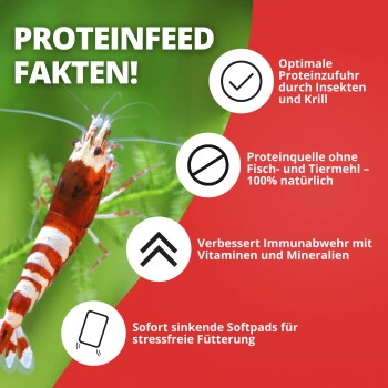 NatureHolic - Proteinfeed Garnelenfutter - 30g