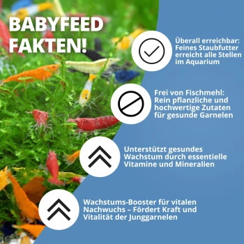 NatureHolic - Babyfeed Aufzuchtfutter für Garnelen - 30g