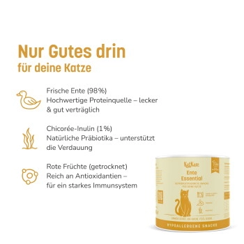KatKare Hypo Schnupperbox Bestseller 2x30g