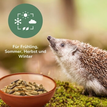 Orni Getreidefreies Igelfutter mit Insekten 1 kg