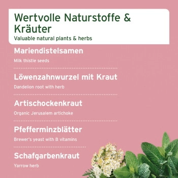 AniForte Leber Vetal Kräuter 100 g