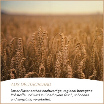 Supravit Waldvogelfutter mit Sonnenblumenkernen 5 kg