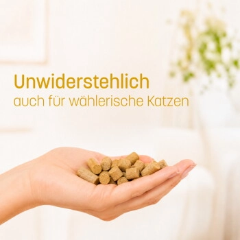 KatKare Hypo Ente Essential 90 g