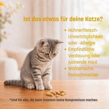 KatKare Hypo Ente Essential 90 g