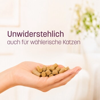 KatKare Hypo Pute Essential 90 g
