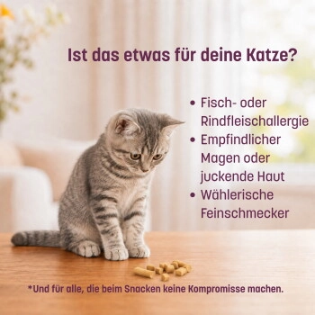 KatKare Hypo Pute Essential 90 g
