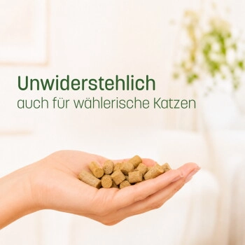 KatKare Hypo Kaninchen Essential 90 g