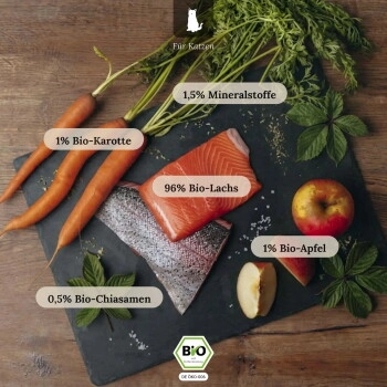 LIEBESGUT Katzenfutter Bio-Lachs mit Bio-Apfel und Bio-Karotte