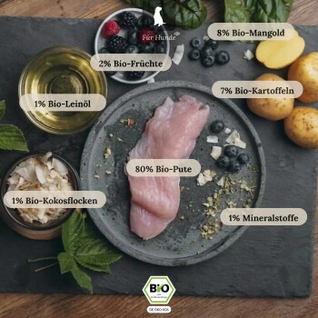 LIEBESGUT Hundefutter Bio-Pute mit Bio-Mangold und Bio-Kartoffel 6x400 g