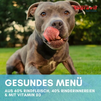 Supravit Hundenassfutter 6 x 820g Rind