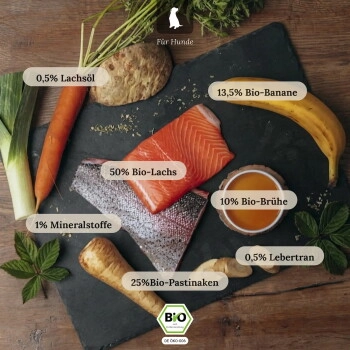 LIEBESGUT Hundefutter Bio-Lachs mit Bio-Banane und Bio-Pastinake
