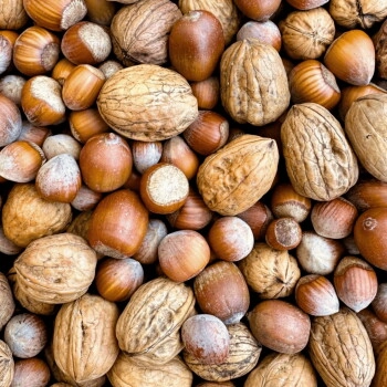 Orni Nüsse-Mix für Eichhörnchen 1kg