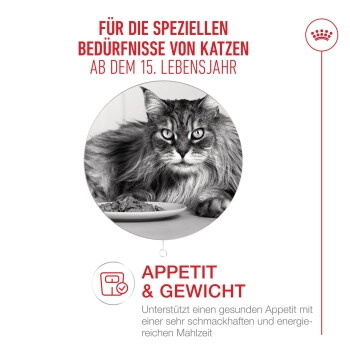 ROYAL CANIN Trockenfutter Katze, Senior, Ageing 15+ 2 kg