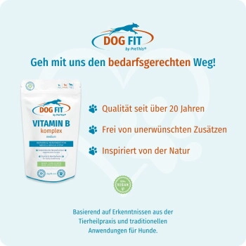 DOG FIT by PreThis ® VITAMIN B Komplex (60 Kapseln = 20,5 g) M