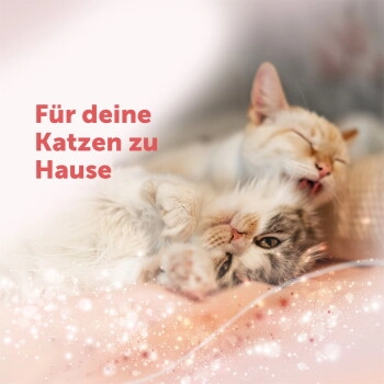 Feliway Friends Start-Set reduziert Spannungen & Konflikte 48 ml