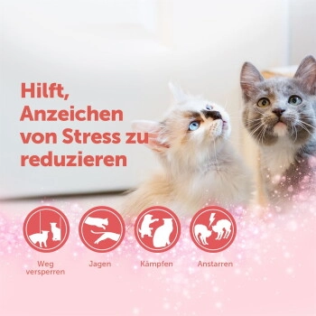 Feliway Friends Start-Set reduziert Spannungen & Konflikte 48 ml