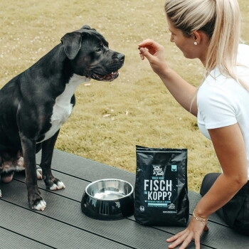 Tales & Tails Softes Trockenfutter Noch ganz Fisch im Kopp?