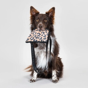 Paikka Visibility Treat Pouch leo