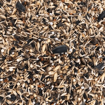 Orni Stieglitz Super I schmackhaftes Wildvogelfutter für Stieglitze I natürliches Stieglitz Futter mit wertvoller Saatenmischung aus Glanz, Negersaat UVM. I Vogelfutter Wildvögel Ganzjährig… 5 kg