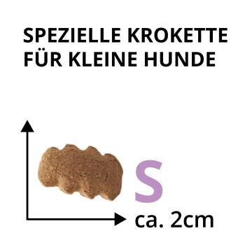 Wildsterne Breed Adult S 2,5kg