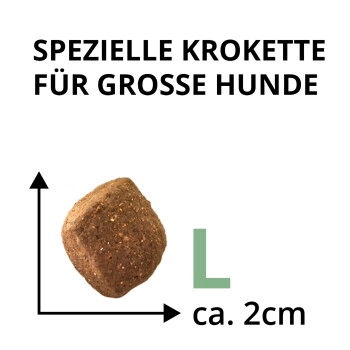 Wildsterne Breed Adult L 2,5kg